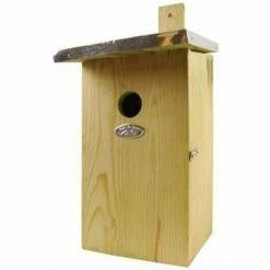 Neu ❤️ Esschert Design Beobachtungs Nistkasten NKO Kohlmeise Blaumeise Höhle Haus ????
